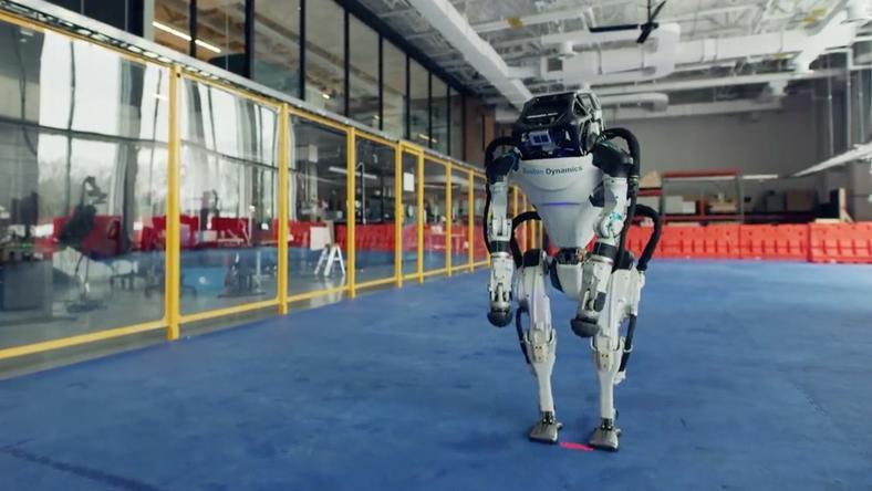 波士顿动力“人狗共舞”,震惊了马斯克